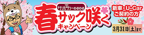 サポカーのるのる春サック咲くキャンペーン