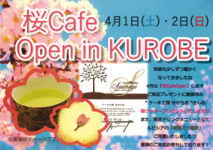 4月桜Cafe