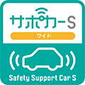sapocar_icon_sapo_s_wide