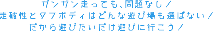 ガンガン走っても、問題なし！走破性とタフボディはどんな遊び場も選ばない！だから遊びたいだけ遊びに行こう！