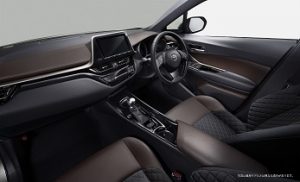 chr073_interior_color_brown