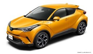 chr112_001_color_5a3000